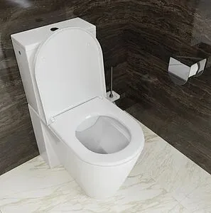 Унитаз-компакт безободковый Laufen Kartell Rimless белый 8.2433.7.000.000.1+8.2933.1.000.871.1 Унитаз-компакт безободковый Laufen Kartell Rimless белый 8.2433.7.000.000.1+8.2933.1.000.871.1, 3