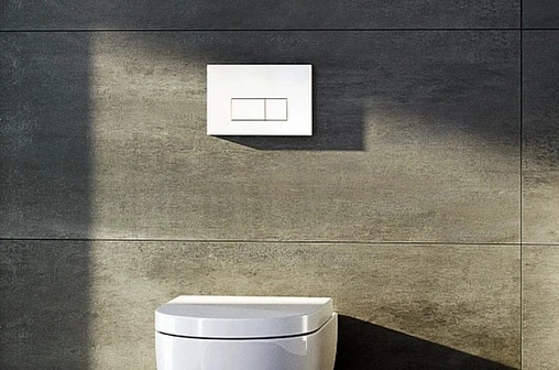 Клавиша смыва для унитаза Aquatek KDI-0000003 белый глянцевый Клавиша смыва для унитаза Aquatek KDI-0000003 белый глянцевый