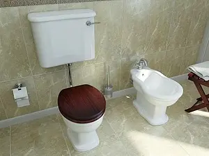 Биде напольное VitrA Efes белый 6597B003-0068, 3