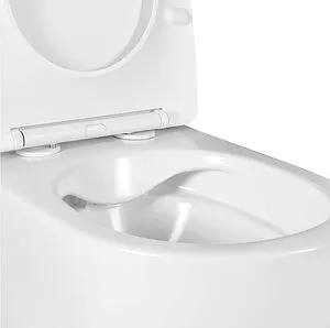 Унитаз подвесной безободковый Aquatek Европа белый матовый AQ1901-MW, 4