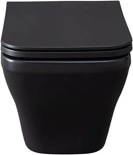 Унитаз подвесной безободковый Allen Brau Infinity черный матовый 4.21011.31