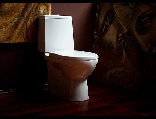 Унитаз-компакт Sanita Luxe Next Basic белый WC.CC/Next/2-P/WHT.G/S1