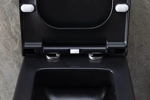 Унитаз подвесной безободковый Allen Brau Infinity черный матовый 4.21011.31