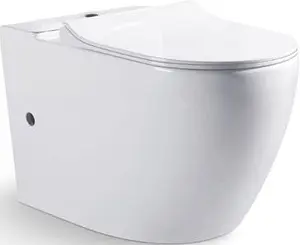 Чаша унитаза Bravat Gina белый CX01008UW-PA-ENG, 1