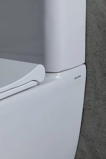 Унитаз-компакт безободковый Allen Brau Priority белый 4.31003.20+4.XX000.20