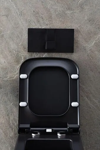 Унитаз подвесной безободковый Allen Brau Infinity черный матовый 4.21011.31