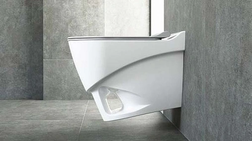 Унитаз подвесной безободковый с функцией биде Bien Organic белый OGKA052N1VP1W3000