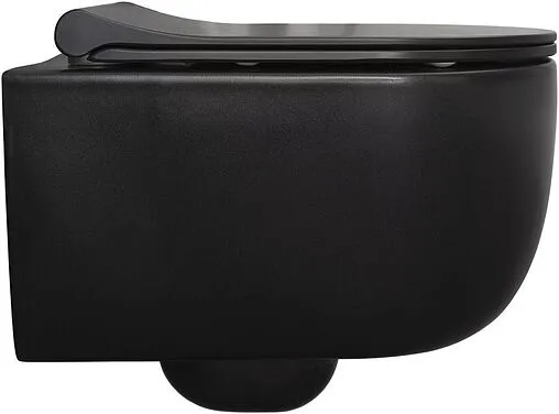 Унитаз подвесной безободковый Allen Brau Priority черный матовый 4.31002.31