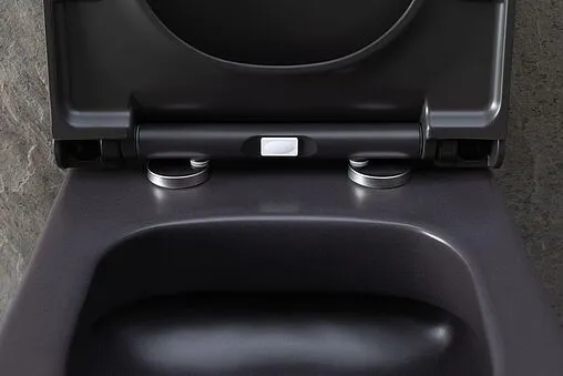 Унитаз подвесной безободковый Allen Brau Priority антрацит 4.31002.AN