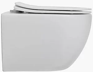 Унитаз подвесной безободковый Aquanet Cetus 3.0 W SHORT Tornado белый Cetus 3.0 W SHORT T Унитаз подвесной безободковый Aquanet Cetus 3.0 W SHORT Tornado белый Cetus 3.0 W SHORT T, 3