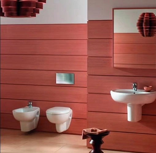 Унитаз подвесной Jacob Delafon Brive белый E4345G-00