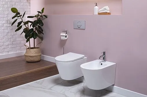 Биде напольное Aquanet Tavr 2.0 белый Tavr 2.0 B