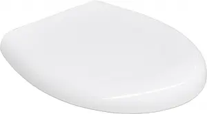 Крышка-сиденье для унитаза с микролифтом BelBagno Alba белый BB125SC, 1