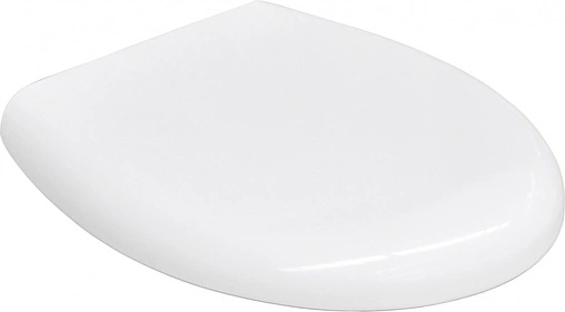 Крышка-сиденье для унитаза с микролифтом BelBagno Alba белый BB125SC