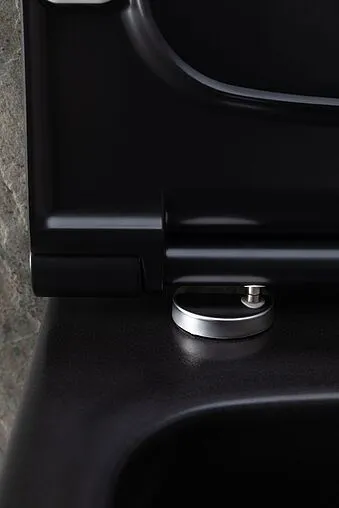 Унитаз подвесной безободковый Allen Brau Priority черный матовый 4.31002.31