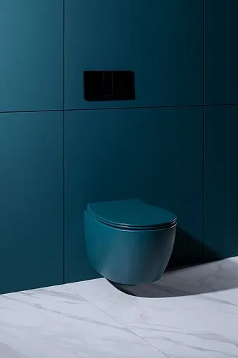 Унитаз подвесной безободковый Allen Brau Fantasy петроль 4.11004.PT