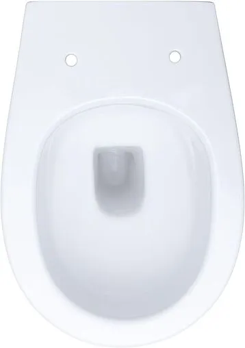 Унитаз приставной безободковый Allen Brau Fantasy белый 4.11007.20