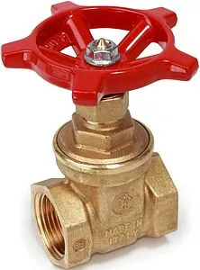 Задвижка клиновая 2"в x 2"в Giacomini R55Y008 Задвижка клиновая 2"в x 2"в Giacomini R55Y008, 1