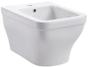 Биде подвесное Aquatek Амадео белый AQ1663-00, 1