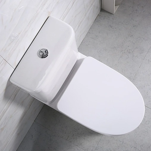 Унитаз-компакт безободковый BelBagno Steam белый BB130CPR+BB130T