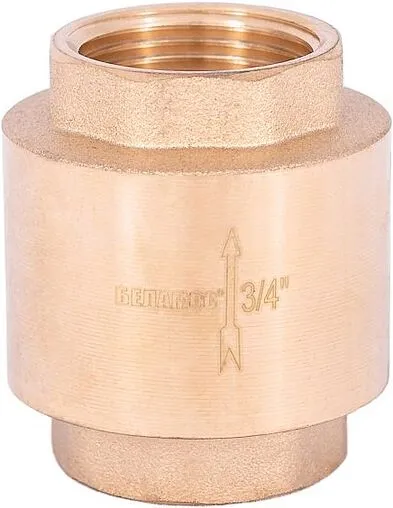 Погружной пружинный обратный клапан с фильтром ¾&quot;в Belamos FV-C ¾