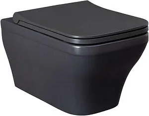 Унитаз подвесной безободковый Allen Brau Infinity антрацит 4.21011.AN Унитаз подвесной безободковый Allen Brau Infinity антрацит 4.21011.AN, 1