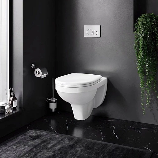 Унитаз подвесной Damixa Jupiter белый DX77C1738SC Унитаз подвесной Damixa Jupiter белый DX77C1738SC