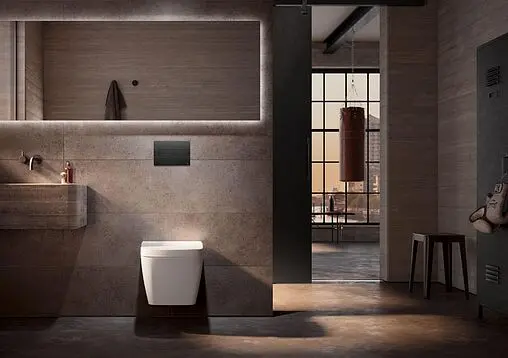 Клавиша смыва для унитаза TECEsolid 9240438 графит с текстурой линии