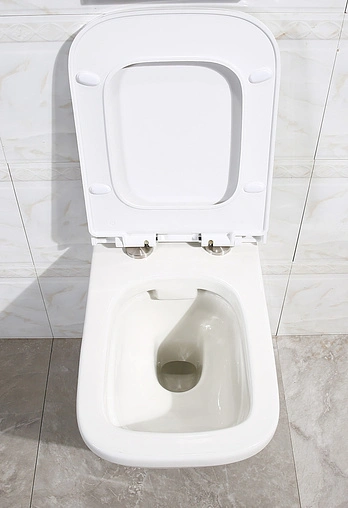 Унитаз подвесной безободковый BelBagno Dory белый BB522ACHR