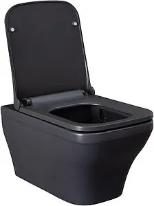 Унитаз подвесной безободковый Allen Brau Infinity антрацит 4.21011.AN Унитаз подвесной безободковый Allen Brau Infinity антрацит 4.21011.AN, 4