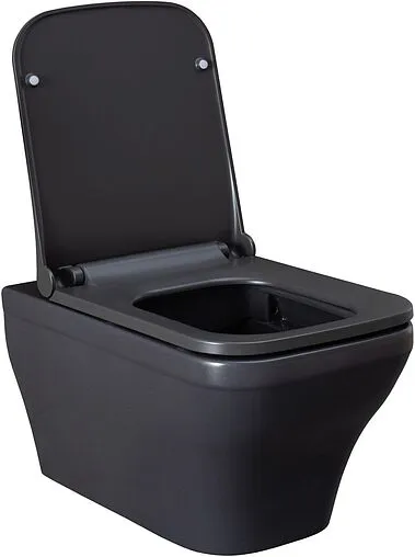 Унитаз подвесной безободковый Allen Brau Infinity антрацит 4.21011.AN