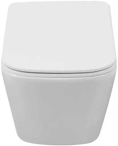 Унитаз подвесной безободковый Aquanet Tavr 3.0 W SHORT Tornado белый Tavr 3.0 W SHORT T Унитаз подвесной безободковый Aquanet Tavr 3.0 W SHORT Tornado белый Tavr 3.0 W SHORT T