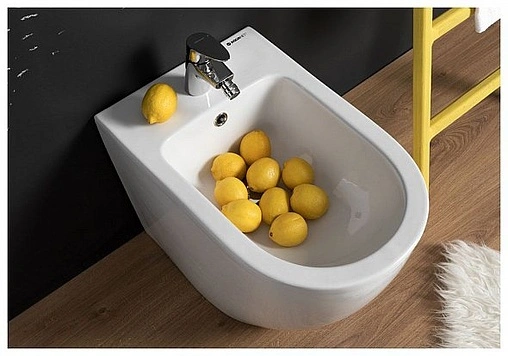 Биде напольное Aquanet Cetus-B1 белый BL-102-FSB Биде напольное Aquanet Cetus-B1 белый BL-102-FSB