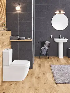 Унитаз-компакт безободковый Grohe Euro Ceramic белый Унитаз-компакт безободковый Grohe Euro Ceramic белый, 5