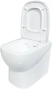 Унитаз приставной безободковый Sanita Luxe Infinity Rimless белый INFSLBW0104R Унитаз приставной безободковый Sanita Luxe Infinity Rimless белый INFSLBW0104R, 3