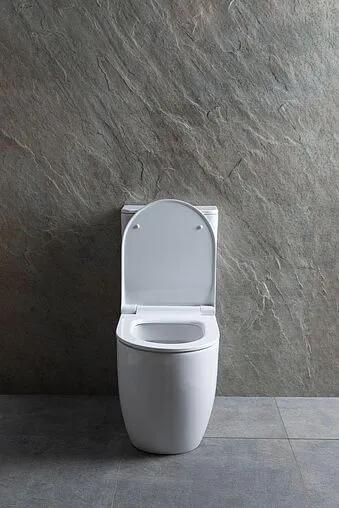 Унитаз-компакт безободковый Allen Brau Priority белый 4.31003.20+4.XX000.20