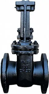 Задвижка клиновая фланцевая Ду50 Ру16 30ч906бр, 1