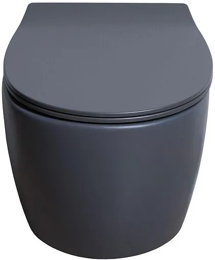 Унитаз подвесной безободковый Allen Brau Fantasy антрацит 4.11004.AN