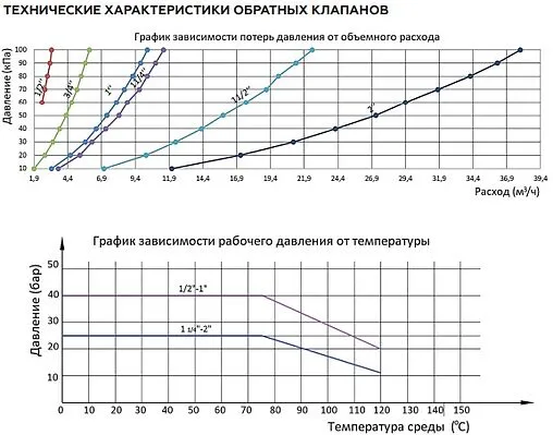 Клапан обратный пружинный 2&quot;в x 2&quot;в Rommer RVC-0001-000050