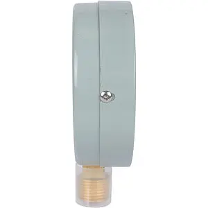 Манометр радиальный Росма ТМ-510Р.00 100мм 10 бар ½" 00000006819 Манометр радиальный Росма ТМ-510Р.00 100мм 10 бар ½" 00000006819, 4