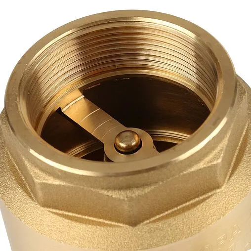 Клапан обратный пружинный 2&quot;в x 2&quot;в Itap Europa 1000200