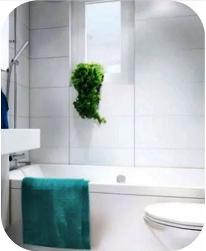 Зеркало Continent Самба 53.5x68 В020