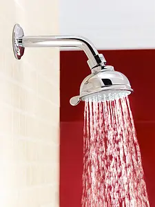 Лейка верхнего душа Grohe New Tempesta Rustic 100 хром 27610000, 3