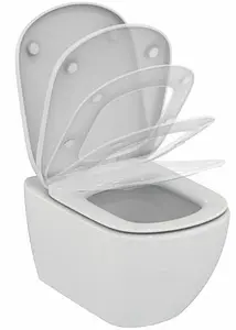 Комплект 5 в 1 Ideal Standard Tesi AquaBlade R029901 с кнопкой Oleas M1 SmartFlush R0117AA хром глянцевый, 4