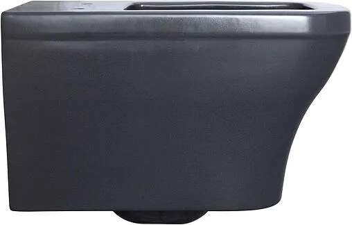 Унитаз подвесной безободковый Allen Brau Infinity антрацит 4.21011.AN