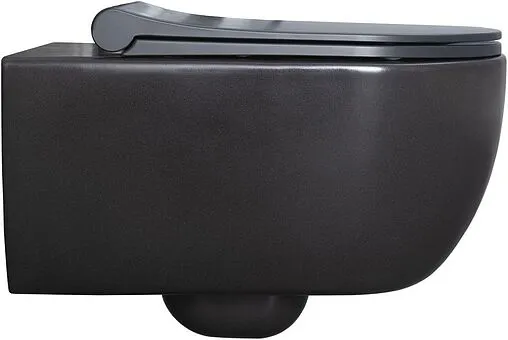 Унитаз подвесной безободковый Allen Brau Priority антрацит 4.31001.AN
