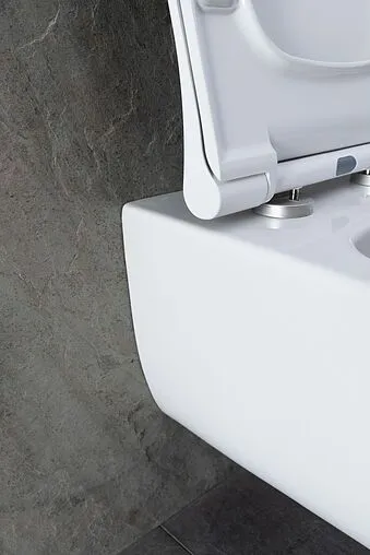 Унитаз подвесной безободковый Allen Brau Priority белый 4.31001.20