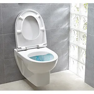 Крышка-сиденье для унитаза Jacob Delafon Odeon Up белый 8407K-00 Крышка-сиденье для унитаза Jacob Delafon Odeon Up белый 8407K-00, 2