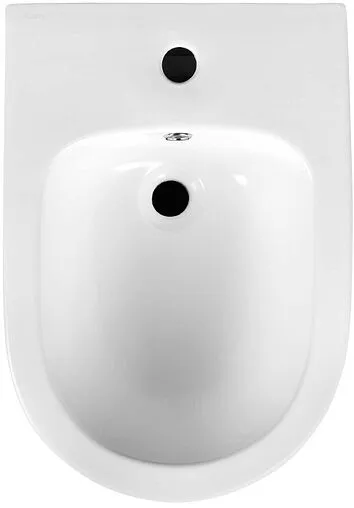 Биде подвесное Aquatek Европа белый матовый AQ1016-MW