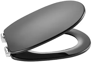 Крышка-сиденье для унитаза с микролифтом Roca Carmen темно-серый 801B5238B Крышка-сиденье для унитаза с микролифтом Roca Carmen темно-серый 801B5238B, 1